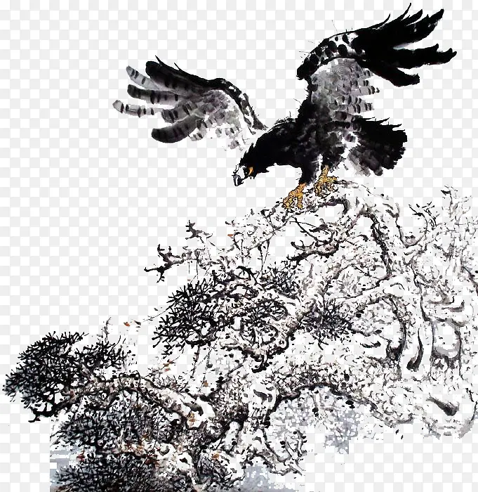 飞过丛林的海雕