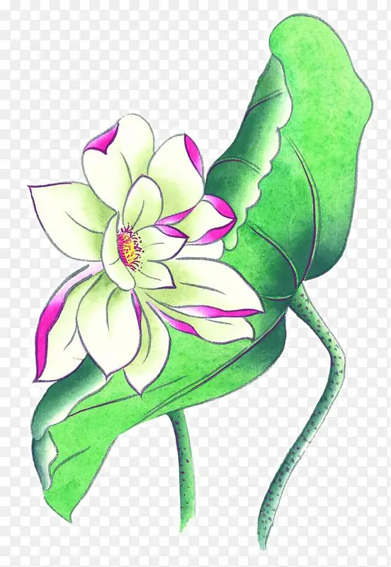 手绘荷花