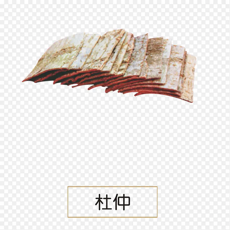 杜仲PNG图片素材下载_图片编号qezowgbv-免抠素材网