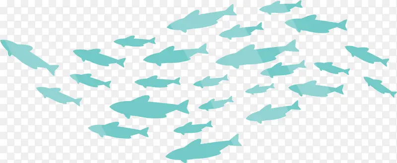 蓝色游动大海鱼群
