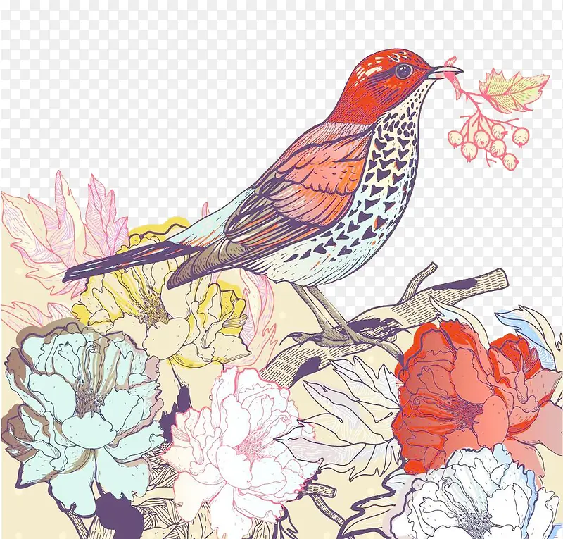 手绘彩色枝头上的红鸟背景