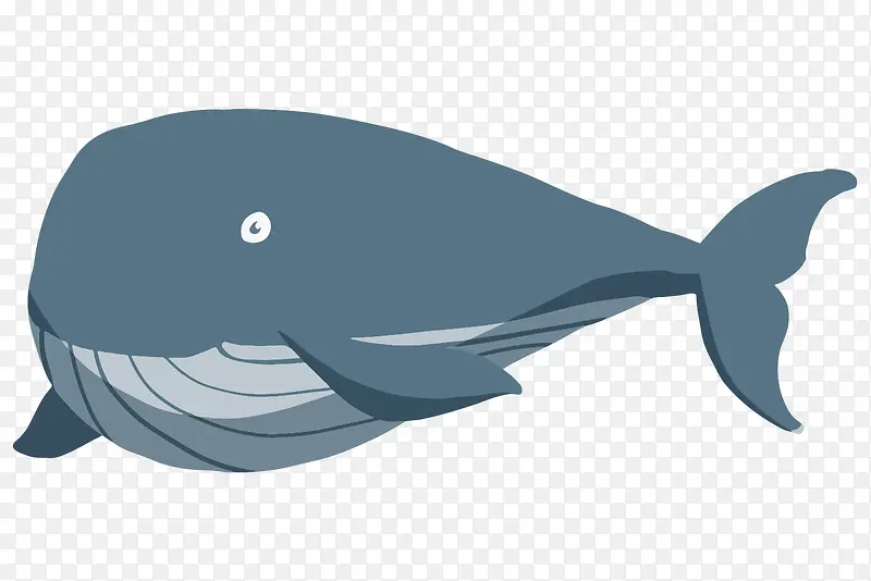卡通海洋动物深蓝大鱼