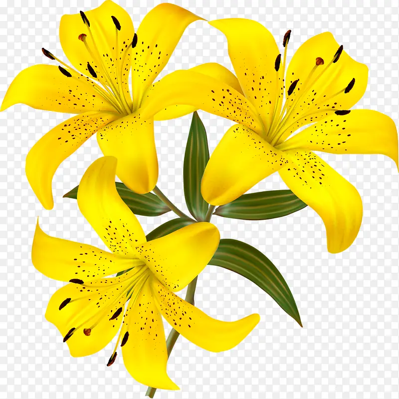 黄色花