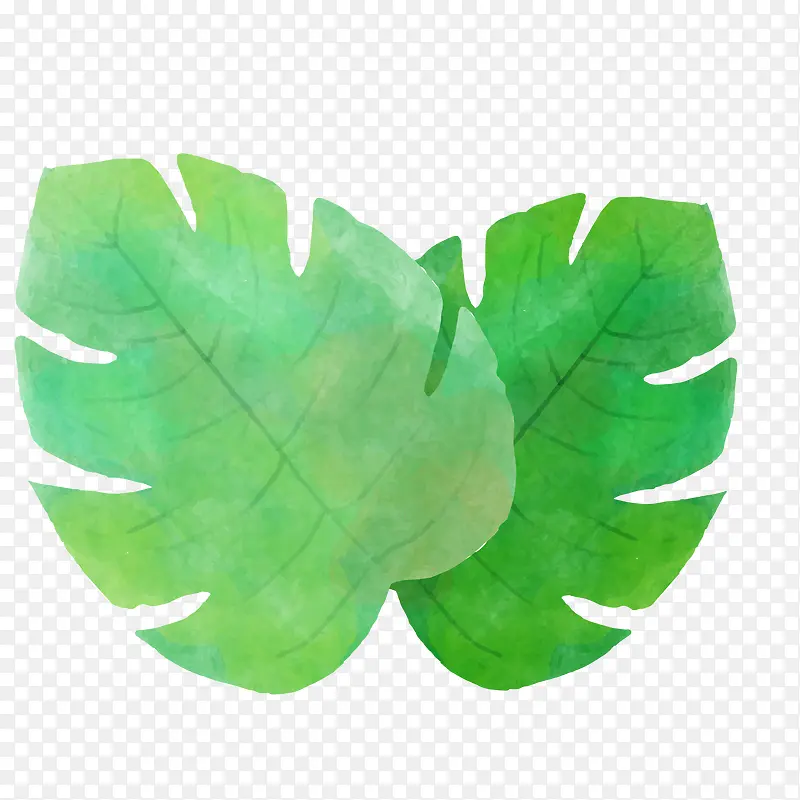 绿色创意纹理叶子元素