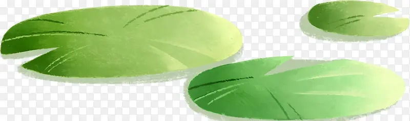 绿色荷叶