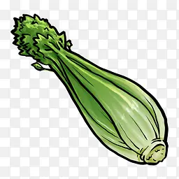 Celery芹菜手绘