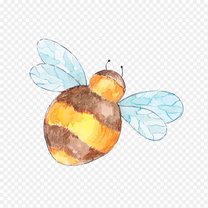 水彩小蜜蜂