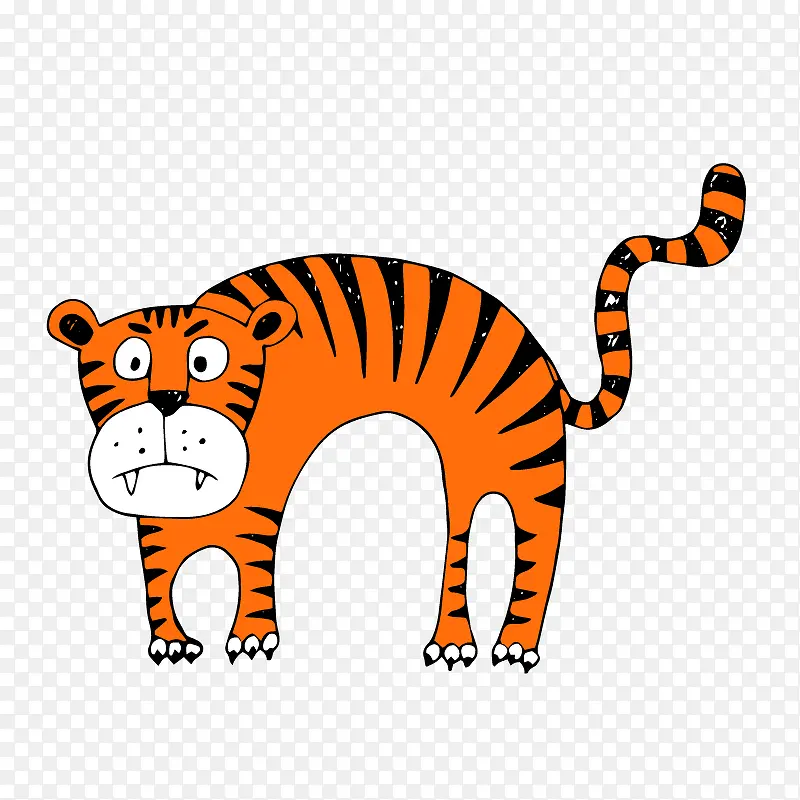 橘色的老虎