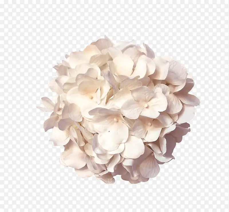 白色碎纸花