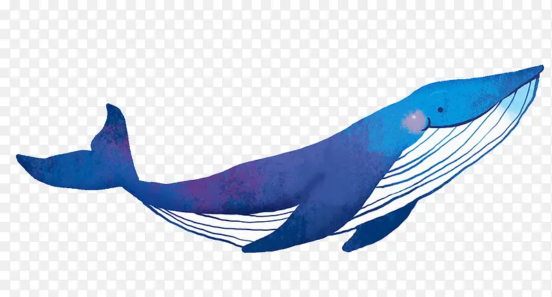 手绘水彩装饰插图清新鲸鱼插画