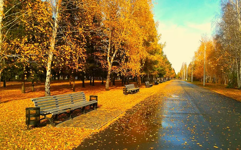 秋天马路旁的长椅