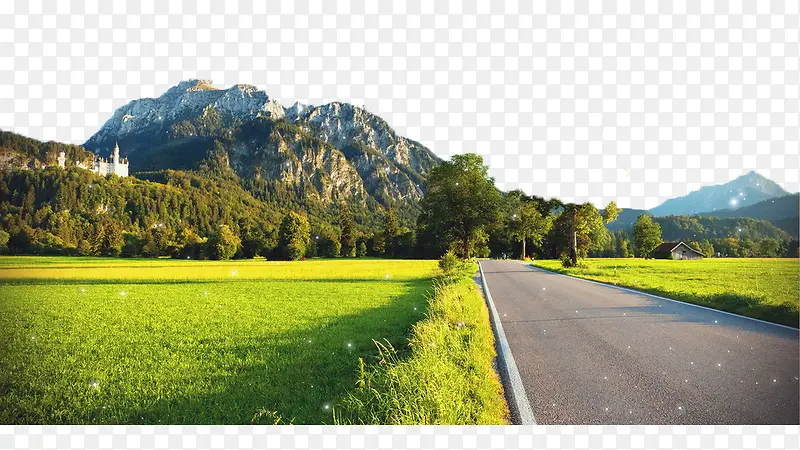 公路旁的稻田