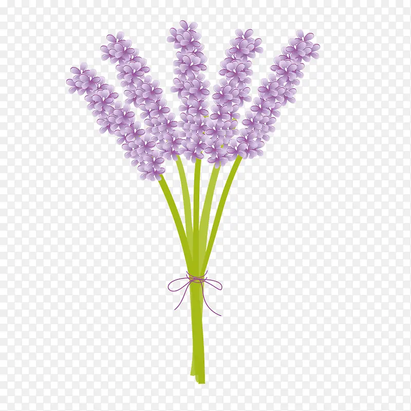 矢量紫色尾巴草一束花草