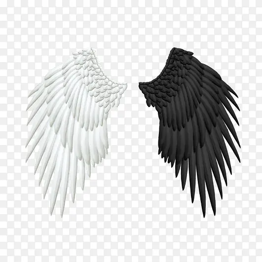 黑白异色对称翅膀