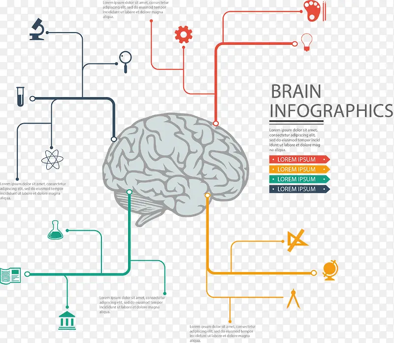 PPT设计大脑信息图