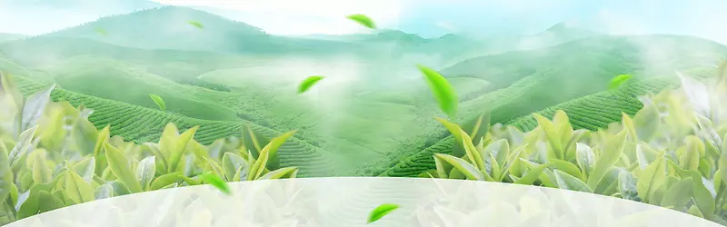 绿茶清新淘宝海报背景