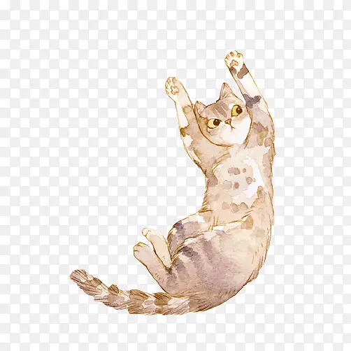 小猫跳跃素材图片