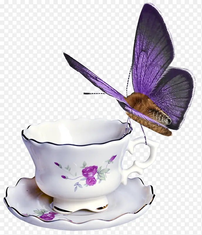 精美紫色蝴蝶杯子茶杯瓷器