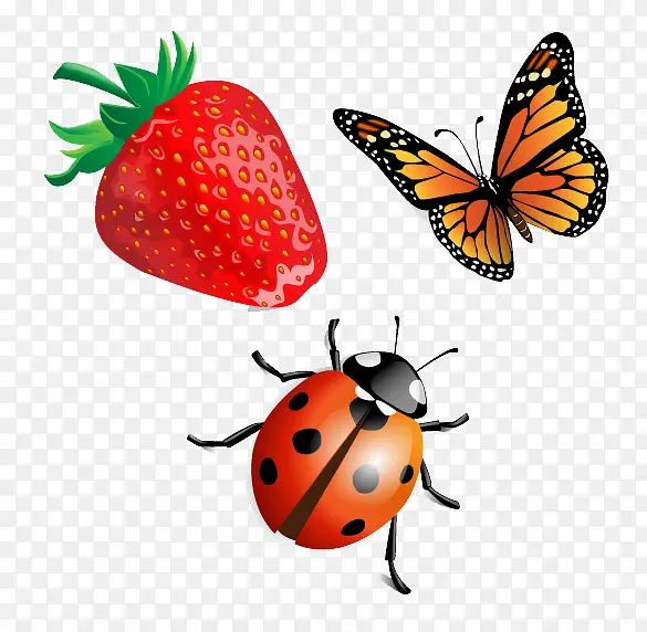 草莓蝴蝶与瓢虫