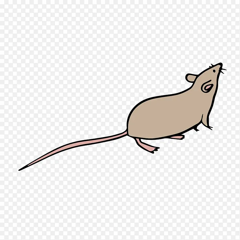 淡色简笔绘画设计小老鼠