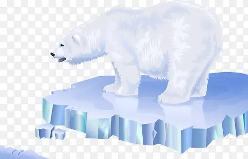 北极熊熊