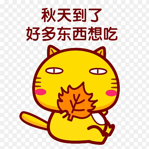 秋天的小猫