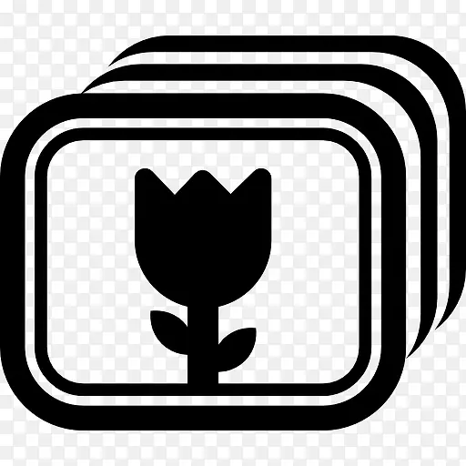 花卉摄影的界面选项符号图标