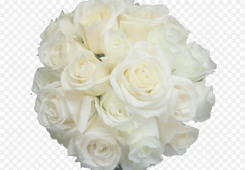 白玫瑰花花束素材背景