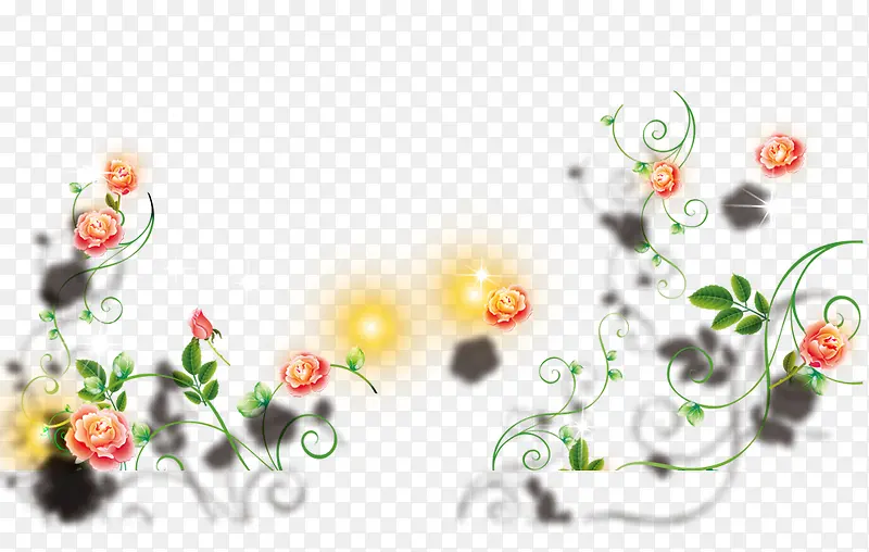 玫瑰花藤蔓