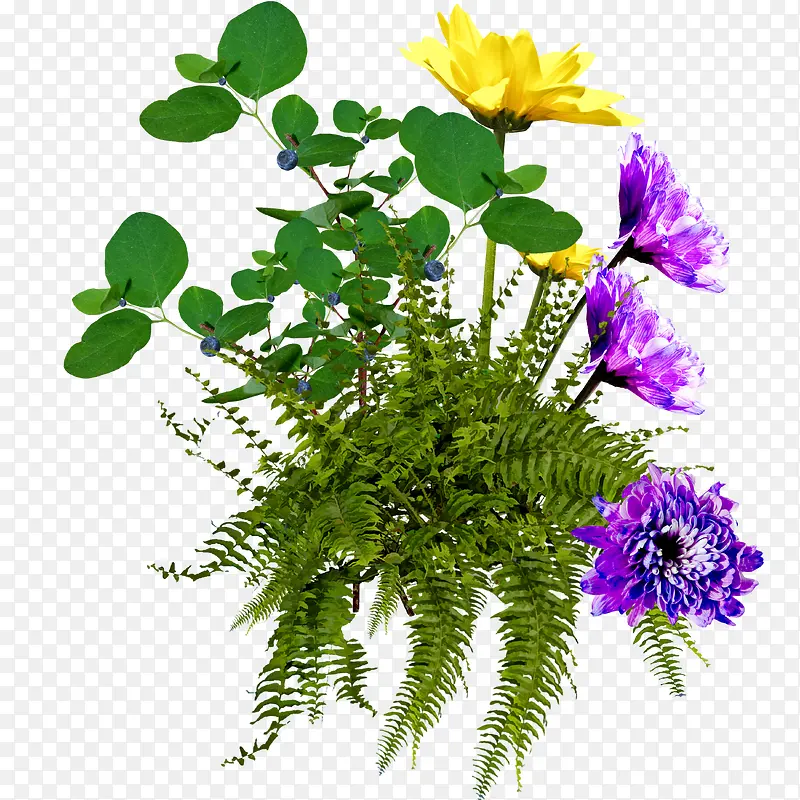 花草