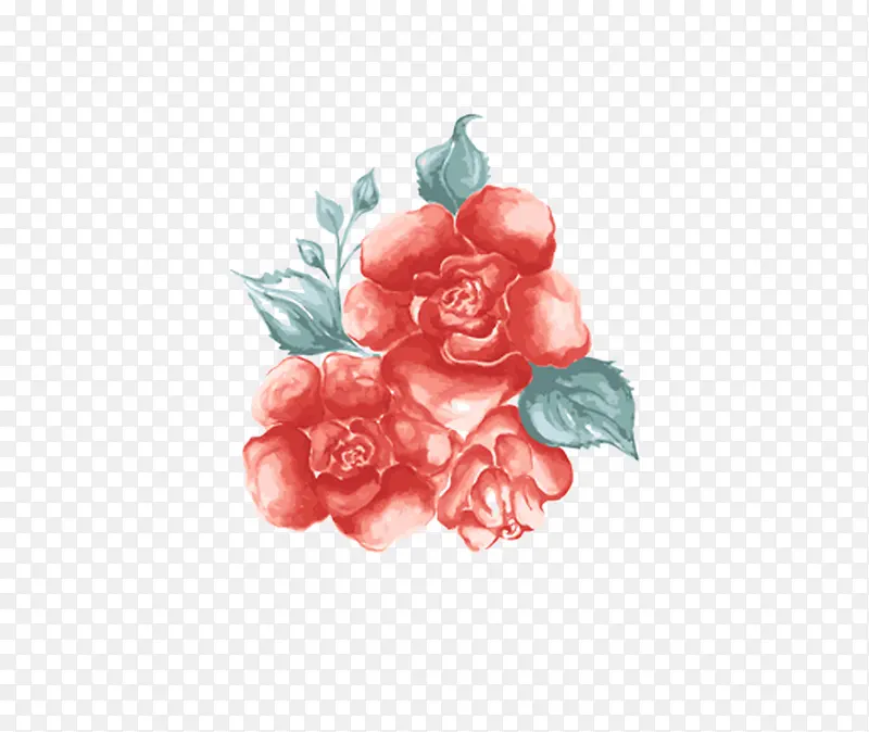 玫瑰花插图