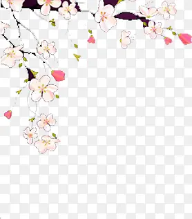 树枝