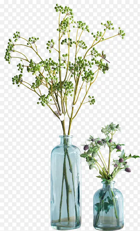 植物树苗绿色效果小清新