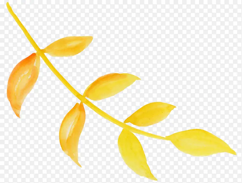 黄色水彩植物叶子