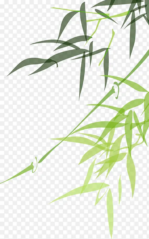 扁平竹子竹叶侧边装饰