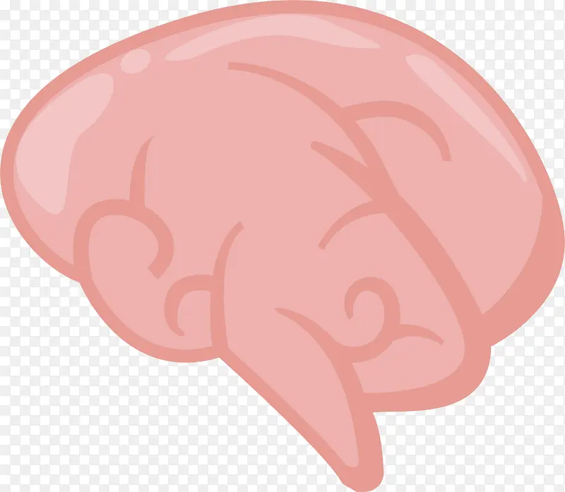 粉色大脑脑花免抠素材