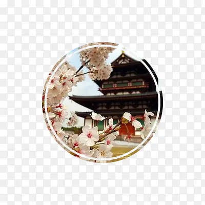 樱花季圆形素材