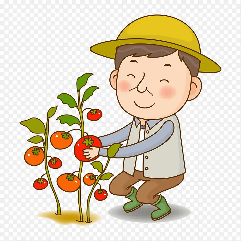 摘西红柿的农民免抠图