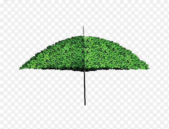 绿草雨伞
