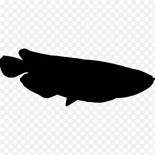 鱼龙鱼的形状图标