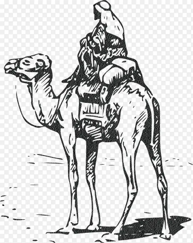 手绘骆驼人