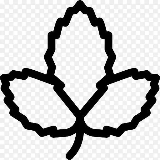 Straberry Leaf 图标