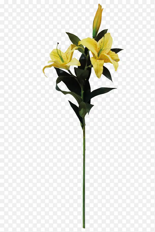 花卉