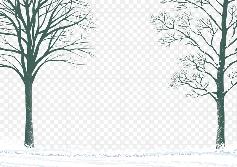 雪地里的光秃秃的树枝