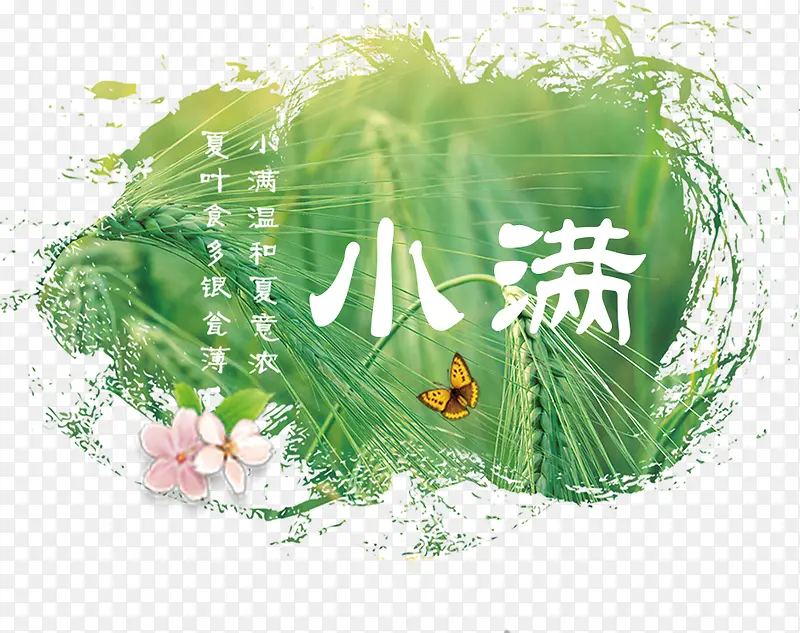 五谷丰收小满海报