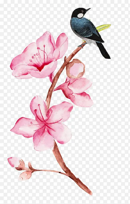 手绘粉色桃花枝上的鸟