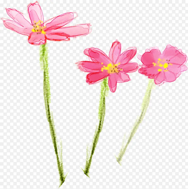 粉色花卉水彩画高清素材