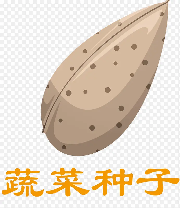 黄瓜种子种子种植