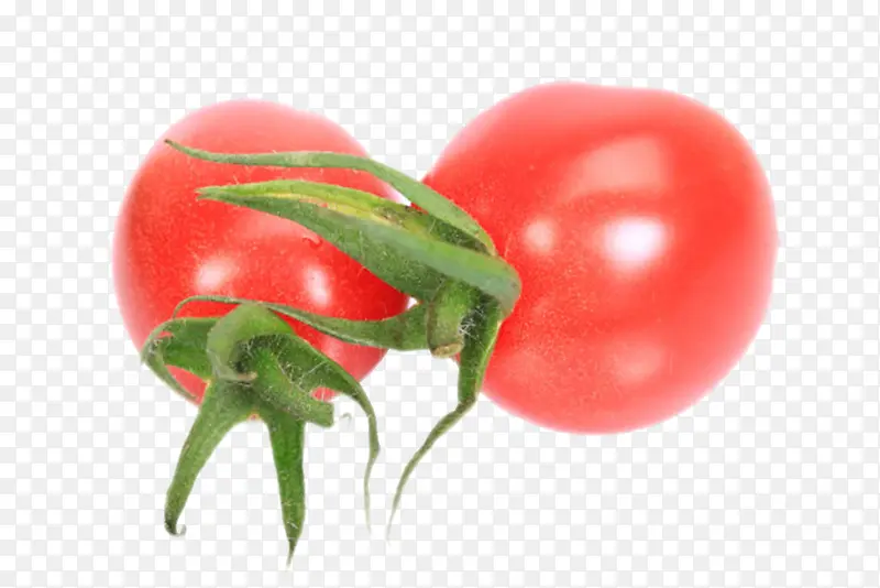 实物红色带藤樱桃番茄