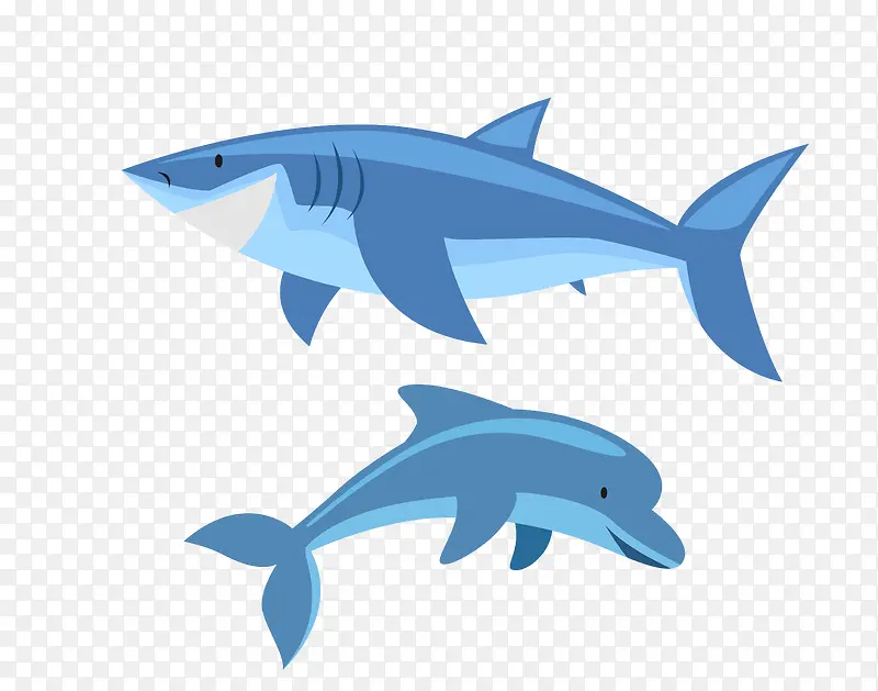矢量海洋蓝色鲨鱼海豚